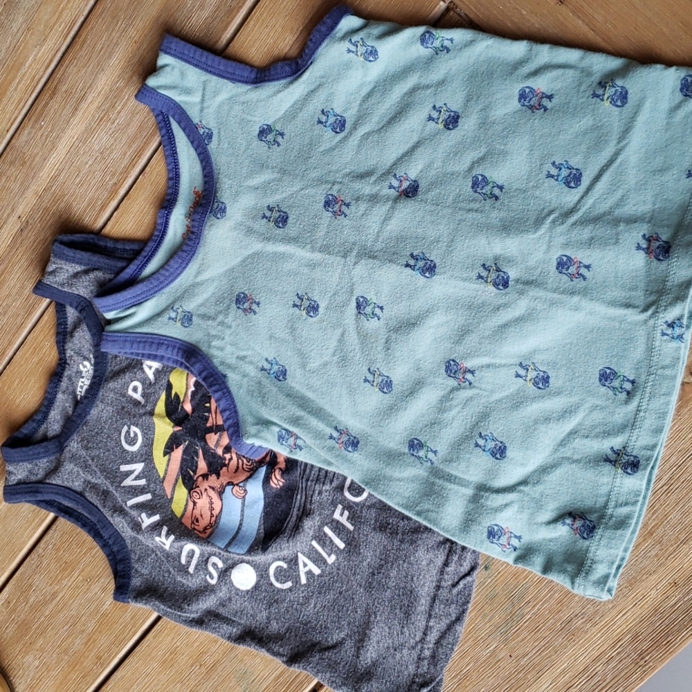 2 tank top Ts size 2T. Different brands. Perfect condition